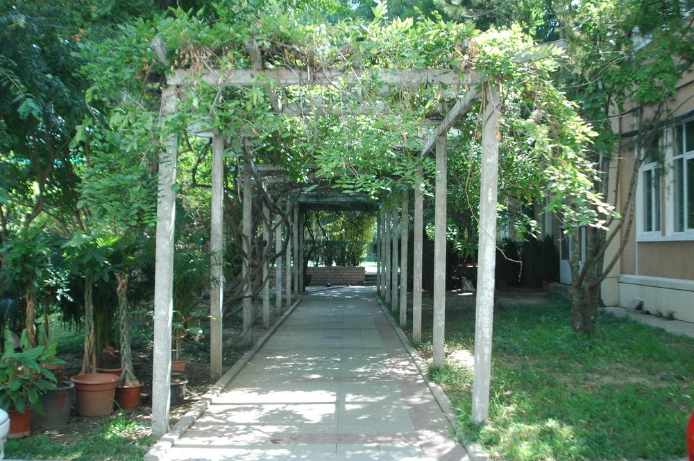 庭院式建筑配圖7