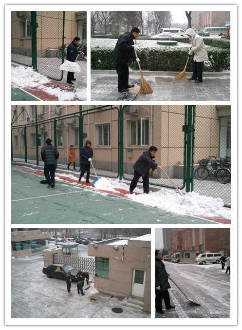 今冬大雪驟來臨 塔園掃雪顯效率